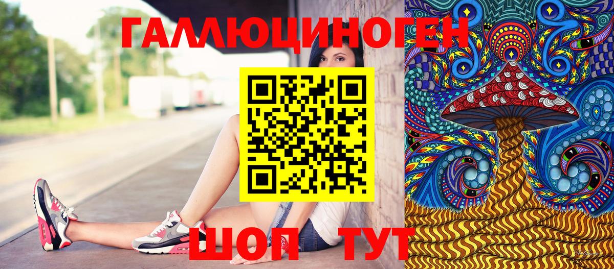 Псилоцибиновые грибы Psilocybine cubensis  Вход с VPN  Кировск 