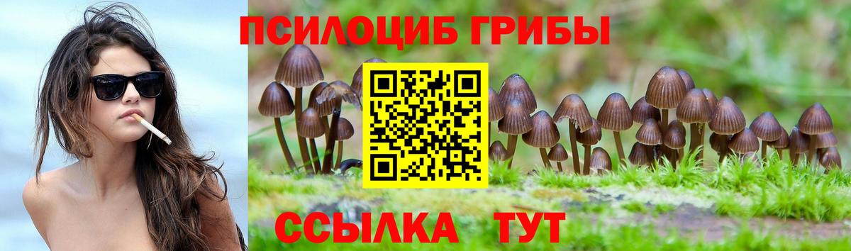 Псилоцибиновые грибы MAGIC MUSHROOMS Кировск